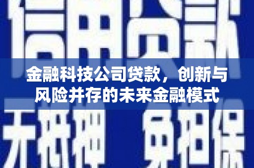 兴山金融科技公司贷款，创新与风险并存的未来金融模式