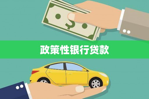 兴山政策性银行贷款