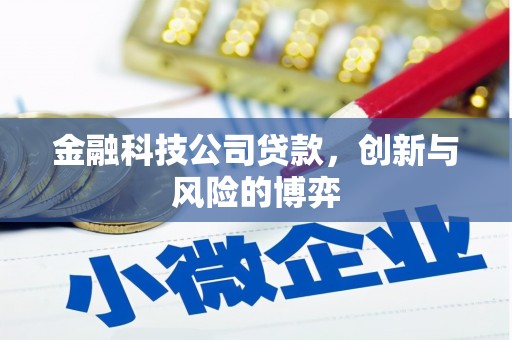 兴山金融科技公司贷款，创新与风险的博弈