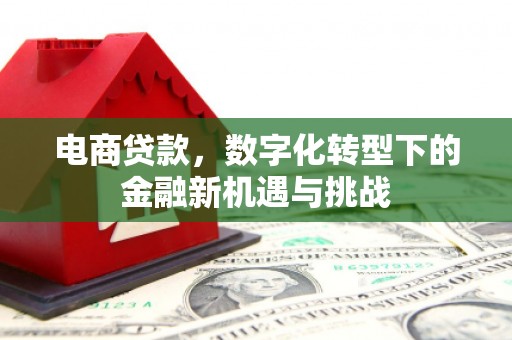 兴山电商贷款，数字化转型下的金融新机遇与挑战