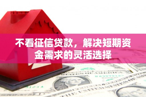 兴山不看征信贷款，解决短期资金需求的灵活选择