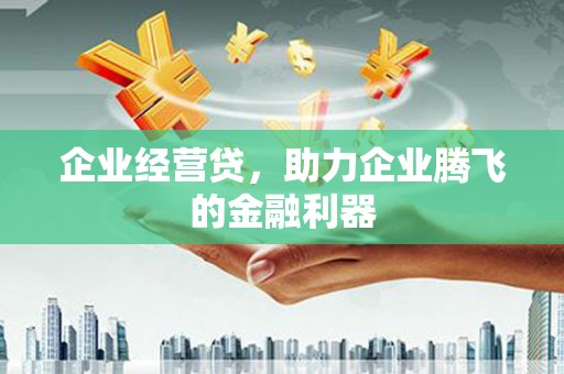 兴山企业经营贷，助力企业腾飞的金融利器