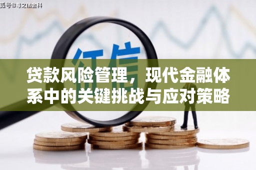 兴山贷款风险管理，现代金融体系中的关键挑战与应对策略