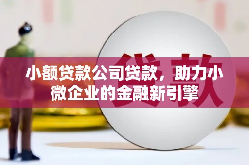 兴山小额贷款公司贷款，助力小微企业的金融新引擎