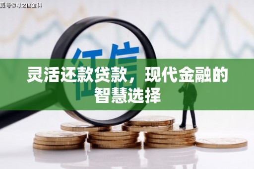 兴山灵活还款贷款，现代金融的智慧选择