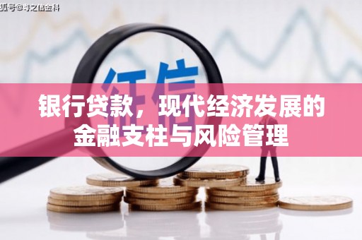 兴山银行贷款，现代经济发展的金融支柱与风险管理