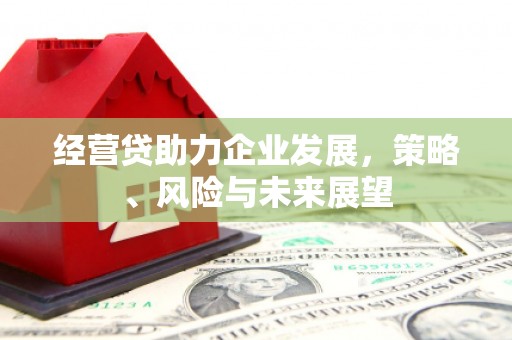 兴山经营贷助力企业发展，策略、风险与未来展望