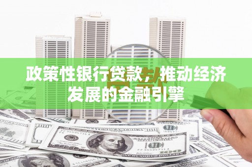 兴山政策性银行贷款，推动经济发展的金融引擎