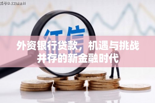 兴山外资银行贷款，机遇与挑战并存的新金融时代