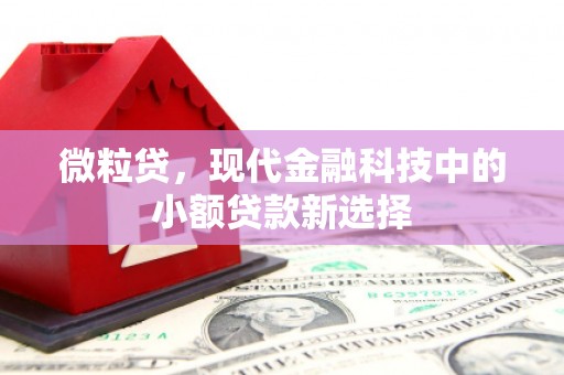 兴山微粒贷，现代金融科技中的小额贷款新选择