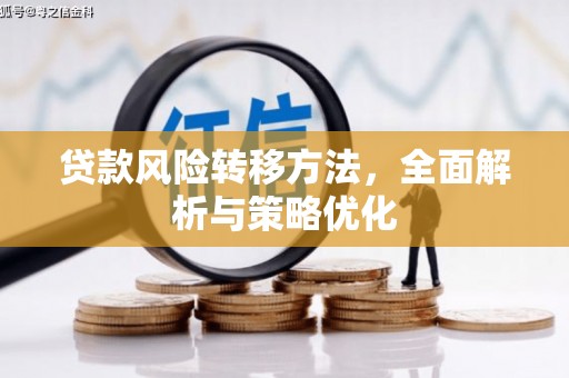 兴山贷款风险转移方法，全面解析与策略优化