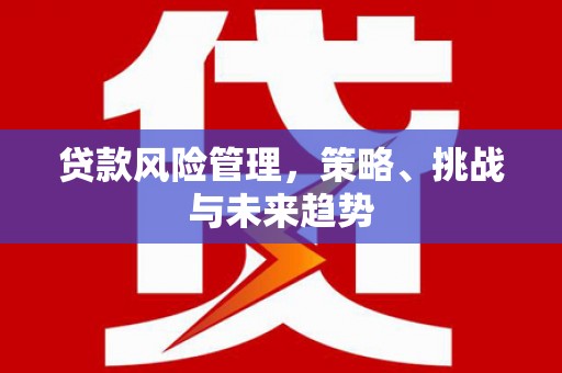 兴山贷款风险管理，策略、挑战与未来趋势