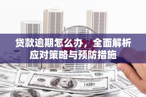 兴山贷款逾期怎么办，全面解析应对策略与预防措施