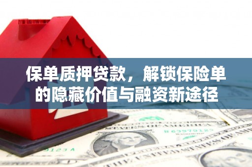 兴山保单质押贷款，解锁保险单的隐藏价值与融资新途径