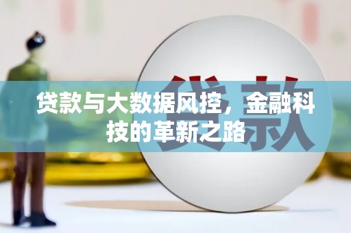 兴山贷款与大数据风控，金融科技的革新之路