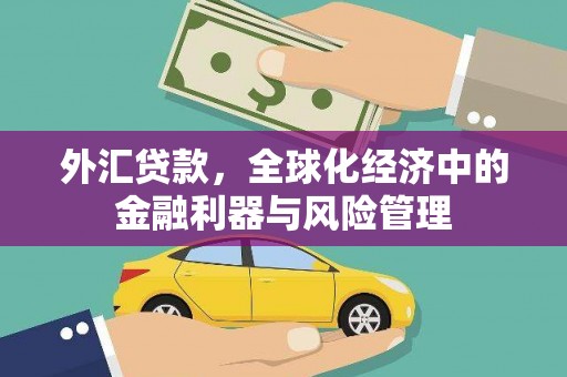 兴山外汇贷款，全球化经济中的金融利器与风险管理