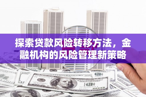 兴山探索贷款风险转移方法，金融机构的风险管理新策略
