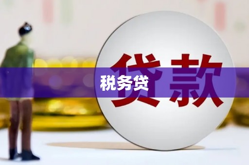 兴山税务贷