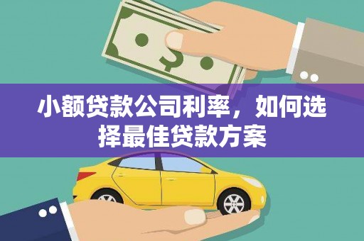 兴山小额贷款公司利率，如何选择最佳贷款方案