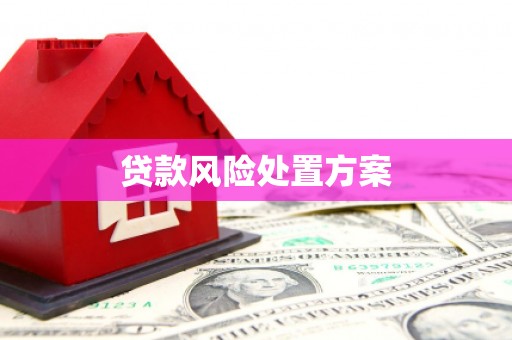 兴山贷款风险处置方案