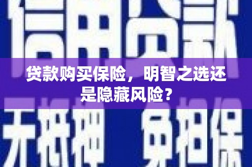 兴山贷款购买保险，明智之选还是隐藏风险？