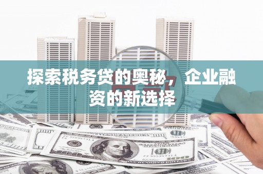 兴山探索税务贷的奥秘，企业融资的新选择