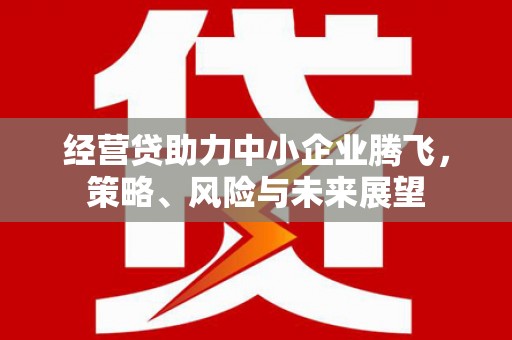 兴山经营贷助力中小企业腾飞，策略、风险与未来展望