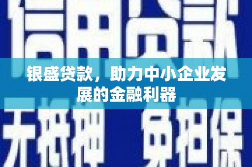 兴山银盛贷款，助力中小企业发展的金融利器