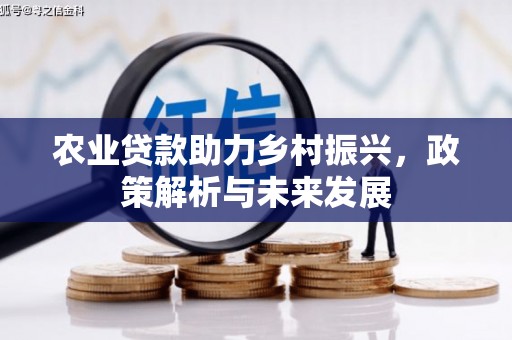 兴山农业贷款助力乡村振兴，政策解析与未来发展
