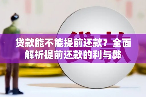 兴山贷款能不能提前还款？全面解析提前还款的利与弊