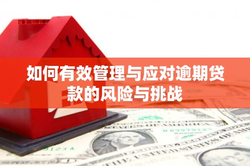 兴山如何有效管理与应对逾期贷款的风险与挑战
