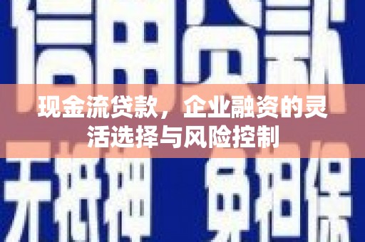 兴山现金流贷款，企业融资的灵活选择与风险控制