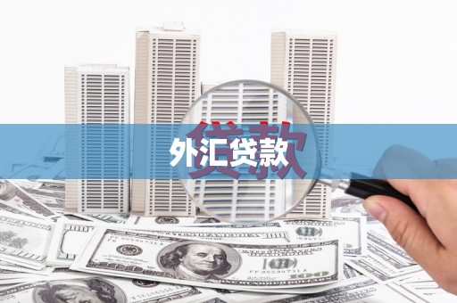兴山外汇贷款