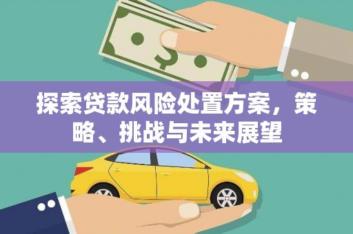兴山探索贷款风险处置方案，策略、挑战与未来展望