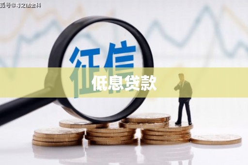 兴山低息贷款