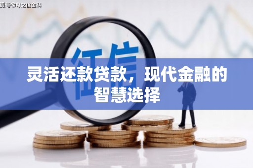 兴山灵活还款贷款，现代金融的智慧选择