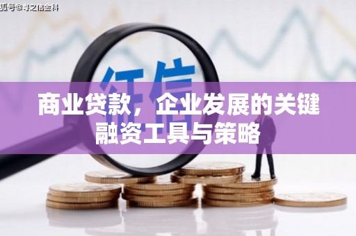 兴山商业贷款，企业发展的关键融资工具与策略