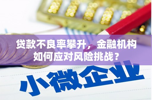 兴山贷款不良率攀升，金融机构如何应对风险挑战？