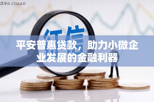 兴山平安普惠贷款，助力小微企业发展的金融利器