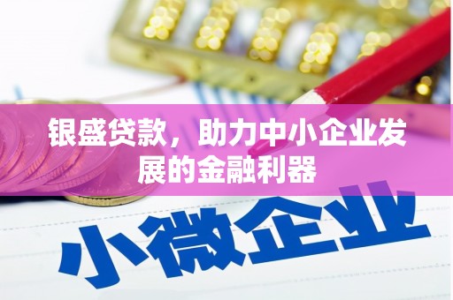 兴山银盛贷款，助力中小企业发展的金融利器