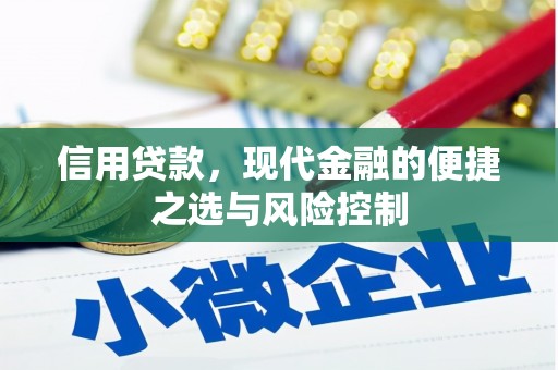兴山信用贷款，现代金融的便捷之选与风险控制