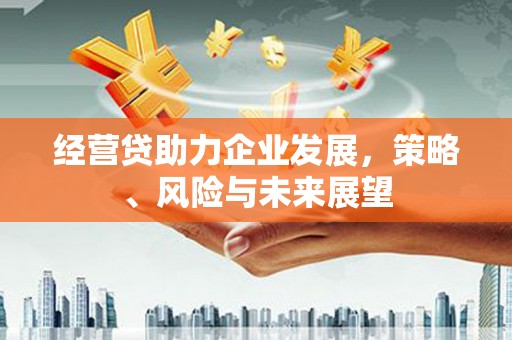 兴山经营贷助力企业发展，策略、风险与未来展望