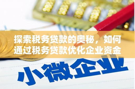 兴山探索税务贷款的奥秘，如何通过税务贷款优化企业资金流