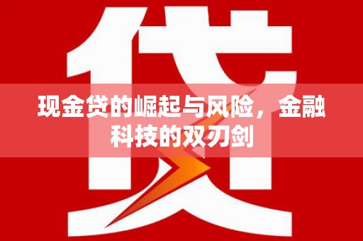 兴山现金贷的崛起与风险，金融科技的双刃剑