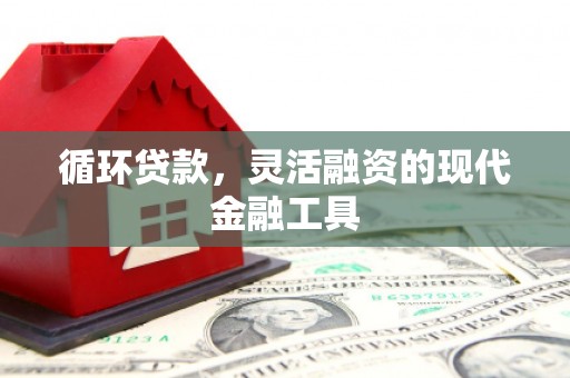 兴山循环贷款，灵活融资的现代金融工具