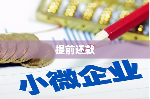 兴山提前还款