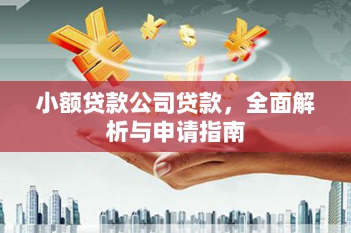 兴山小额贷款公司贷款，全面解析与申请指南