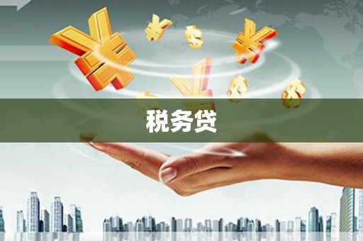 兴山税务贷