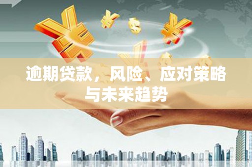 兴山逾期贷款，风险、应对策略与未来趋势