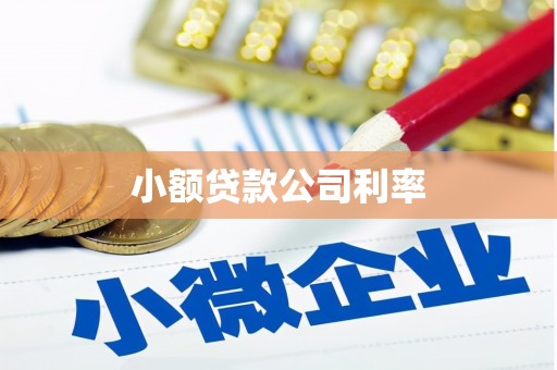 兴山小额贷款公司利率